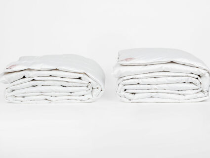 Одеяло German Grass Silver Down Grass всесезонное 140х205