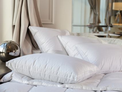 Подушка German Grass White Familie Down упругая 50х70