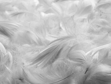 Подушка Nature’S-Natura Sanat Ночная гармония 50х70